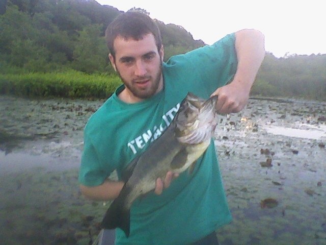 Largemouth