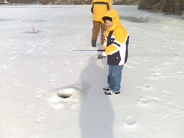 lets go sledding instead