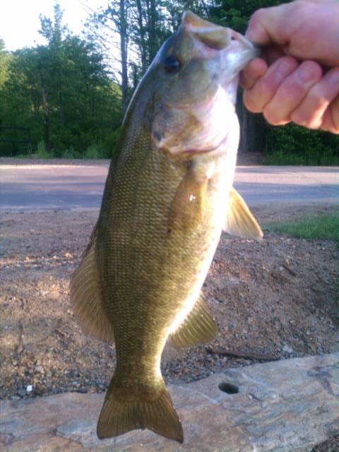 Smallmouth caught off Boatlaunch